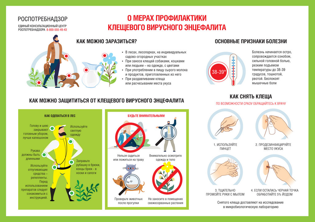 rospotrebnadzor encephalitis.1024px